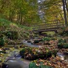 Herbstlicher Bachlauf 1/10