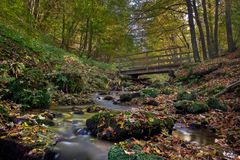 Herbstlicher Bachlauf 1/10