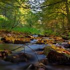 Herbstlicher Bachlauf 2/10