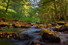 Herbstlicher Bachlauf 2/10