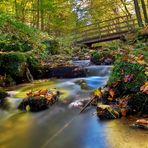 Herbstlicher Bachlauf 4/10