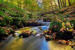 Herbstlicher Bachlauf 4/10