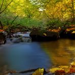 Herbstlicher Bachlauf 5/10