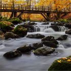 Herbstlicher Bachlauf