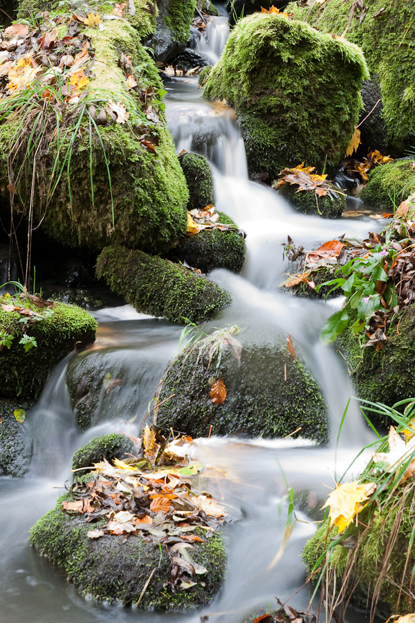 Herbstlicher Bachlauf