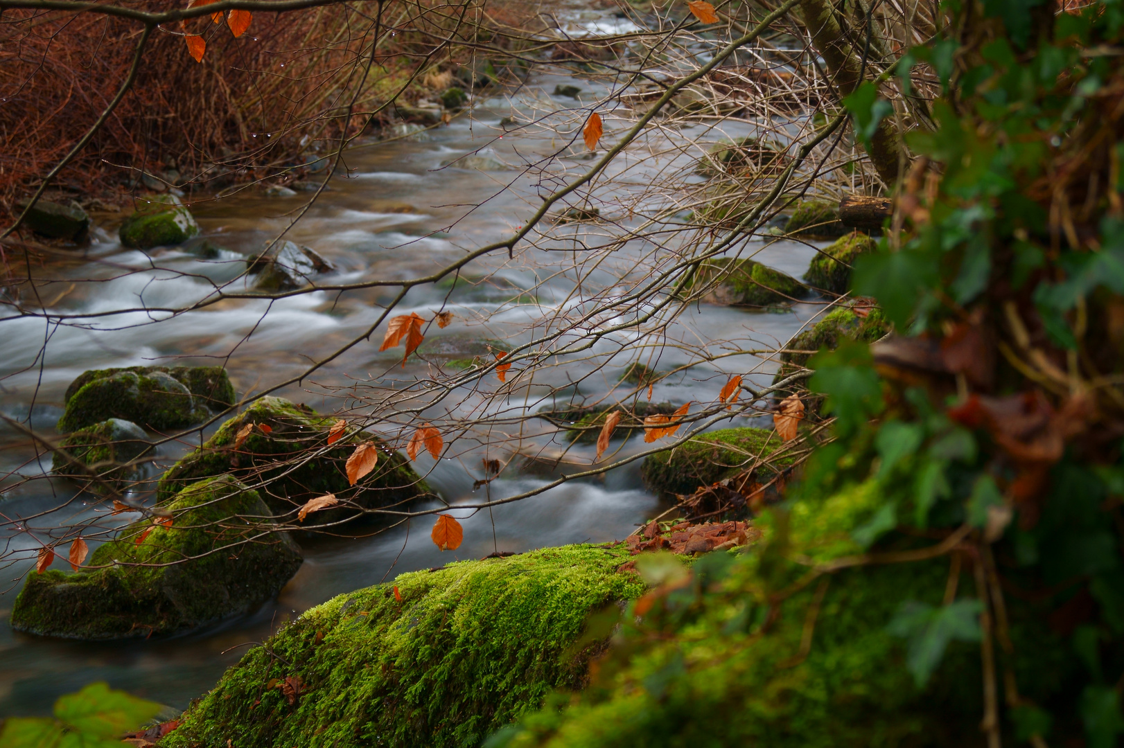 Herbstlicher Bachlauf