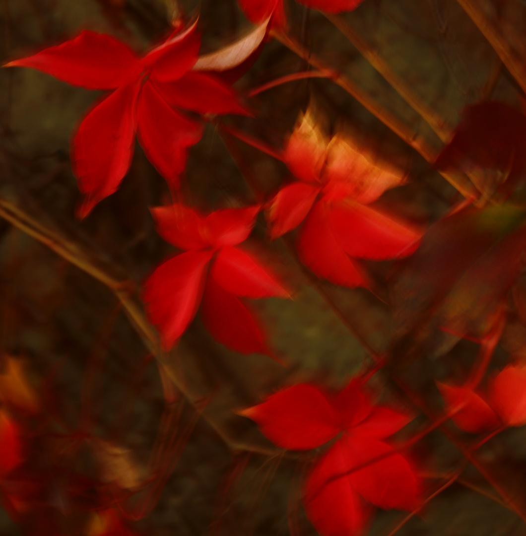 herbstlicher Bättertanz