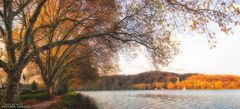 Herbstlicher Baldeneysee