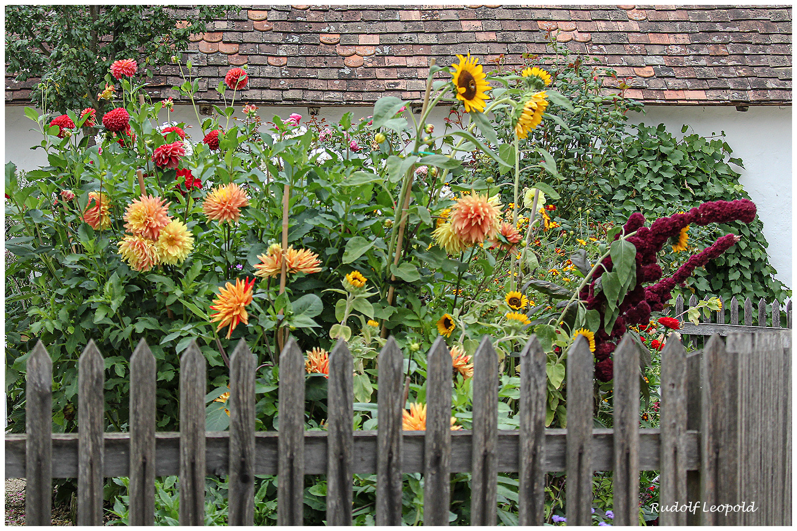 herbstlicher Bauerngarten