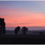 Herbstlicher Baumbergeausflug -2-