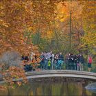 Herbstlicher Belastungstest ...