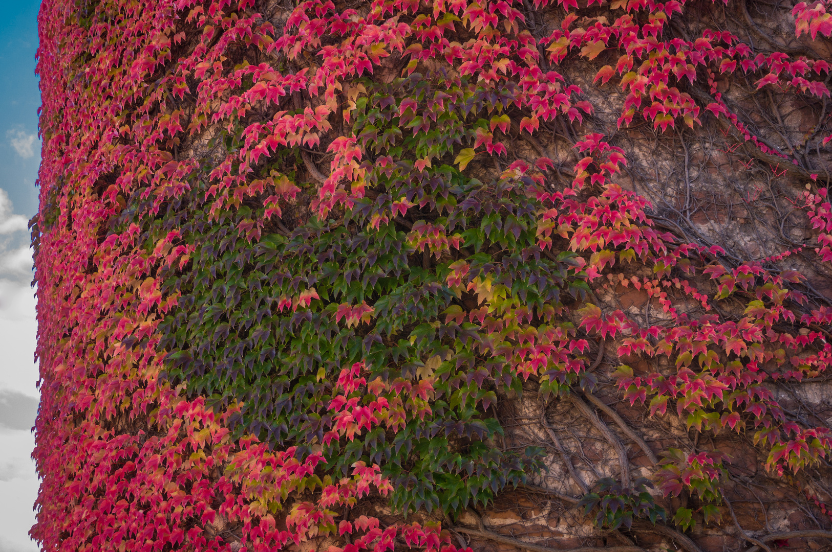 herbstlicher Bergfried - Schlitz/Hessen