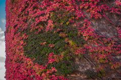 herbstlicher Bergfried - Schlitz/Hessen