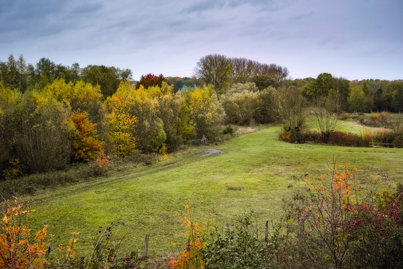 Herbstlicher Blick 