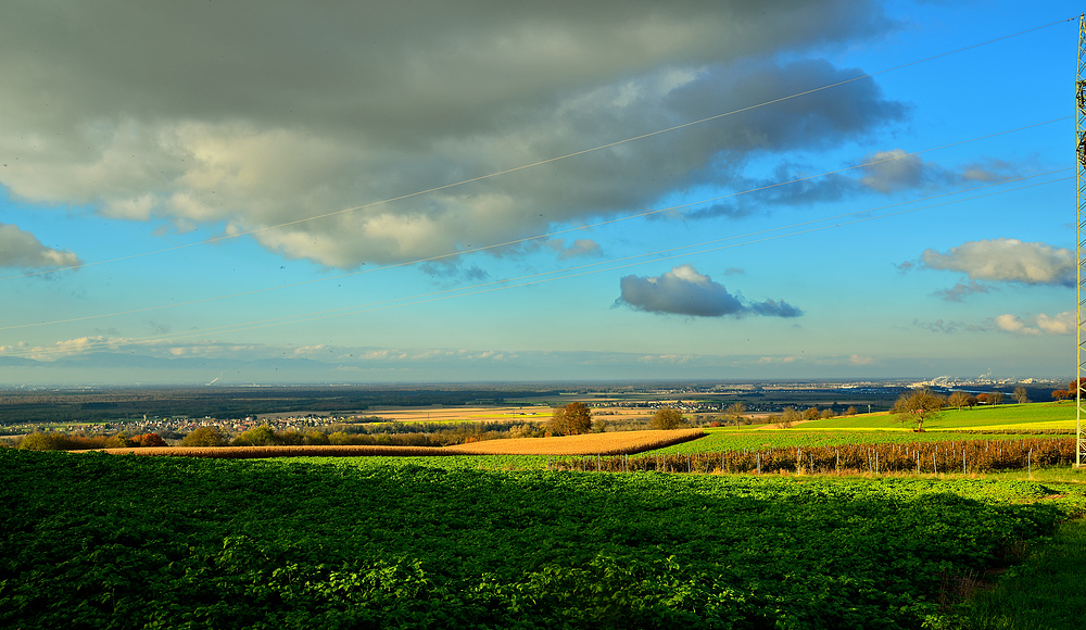 Herbstlicher Blick 2