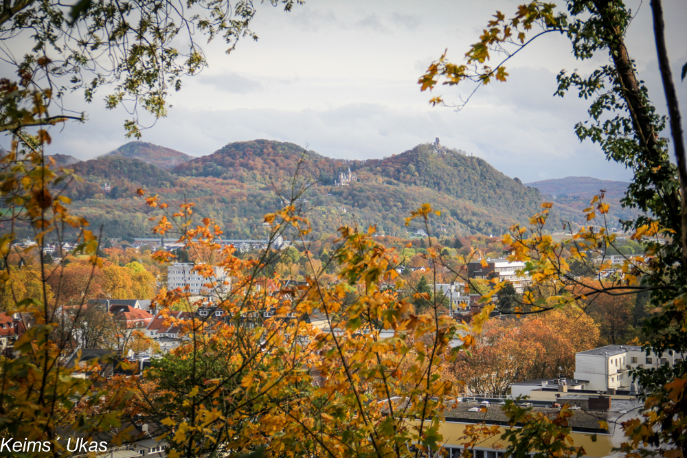 herbstlicher Blick