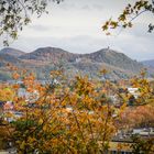 herbstlicher Blick