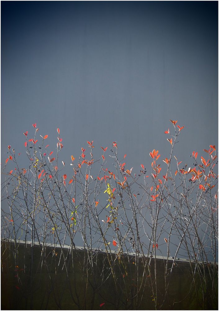 Herbstlicher Blick 