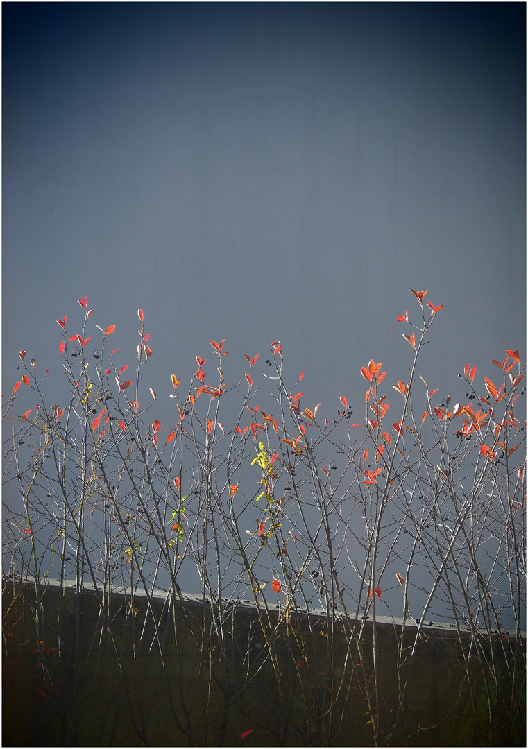 Herbstlicher Blick 