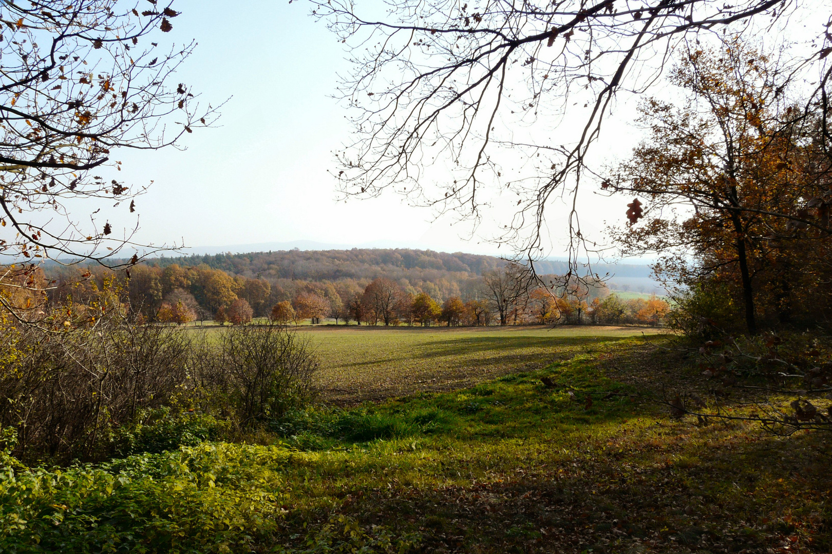 Herbstlicher Blick