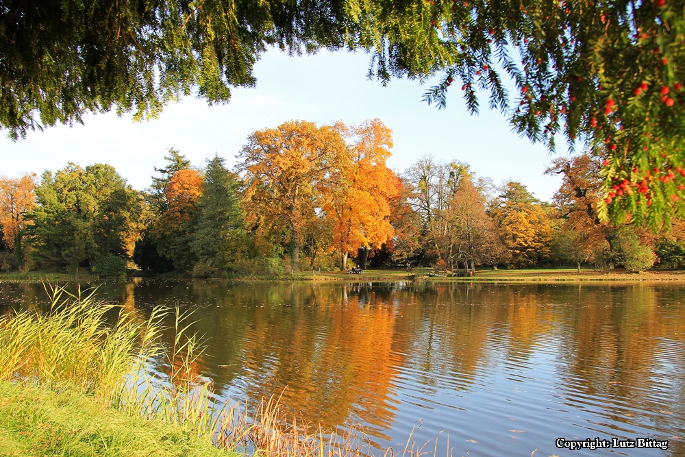 Herbstlicher Blick