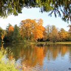 Herbstlicher Blick