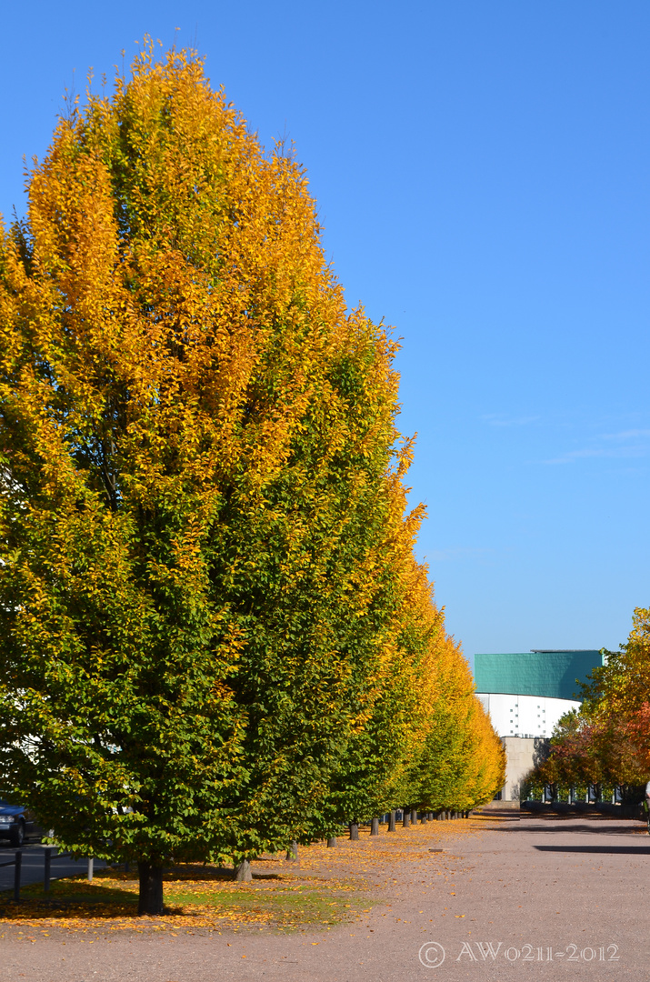 Herbstlicher Blick auf das Kasseler Staatstheater