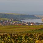 herbstlicher Blick auf Nierstein