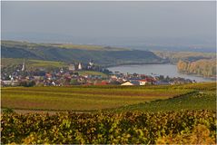 herbstlicher Blick auf Nierstein