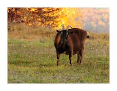 herbstlicher Blick