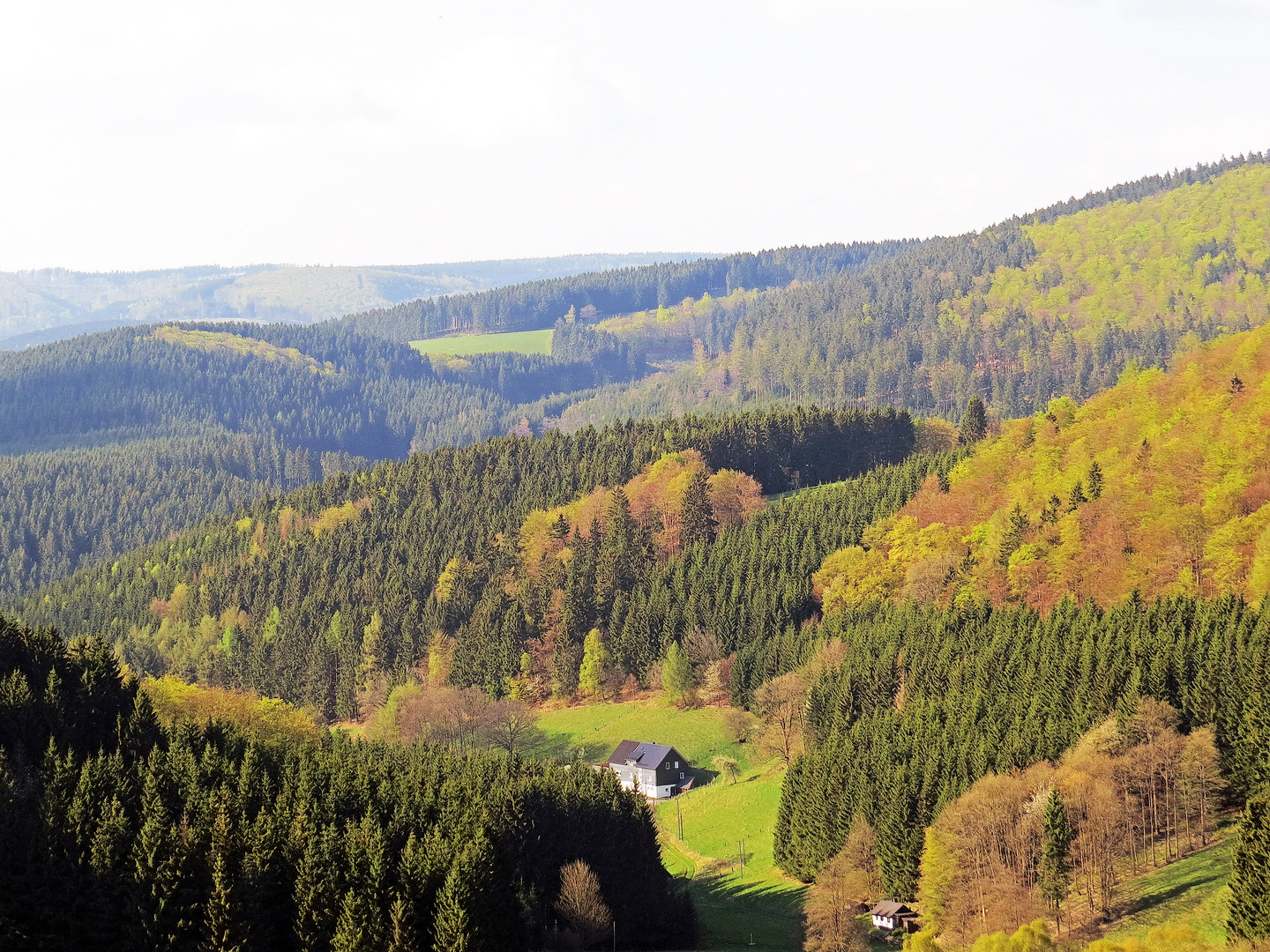 Herbstlicher Blick in die Winterbach bei Bad Berleburg