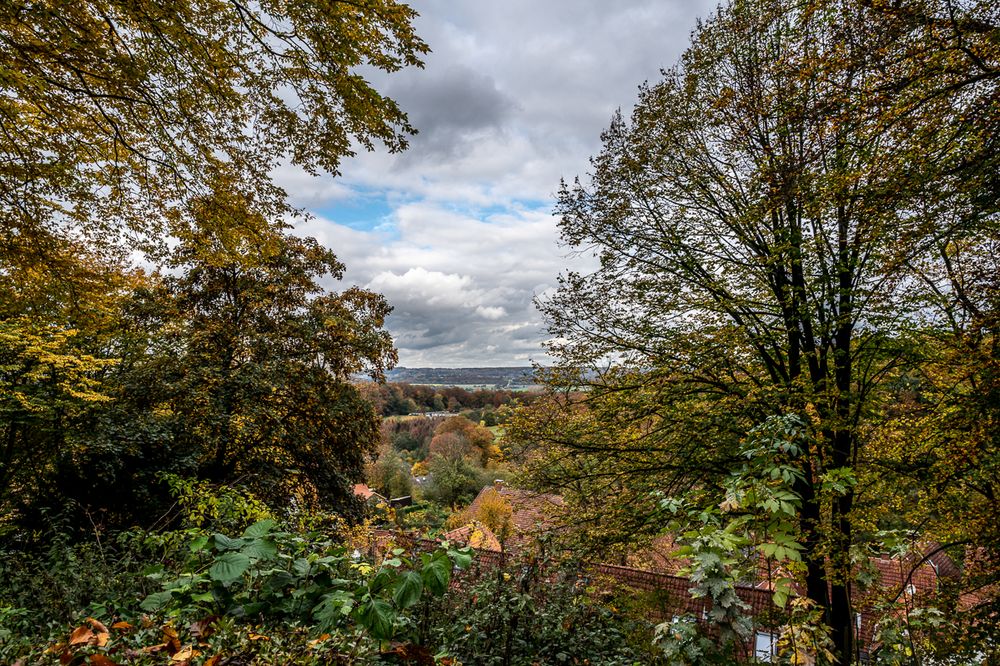 Herbstlicher Blick in Münsterland 1