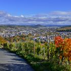 Herbstlicher Blick ins Ahrtal