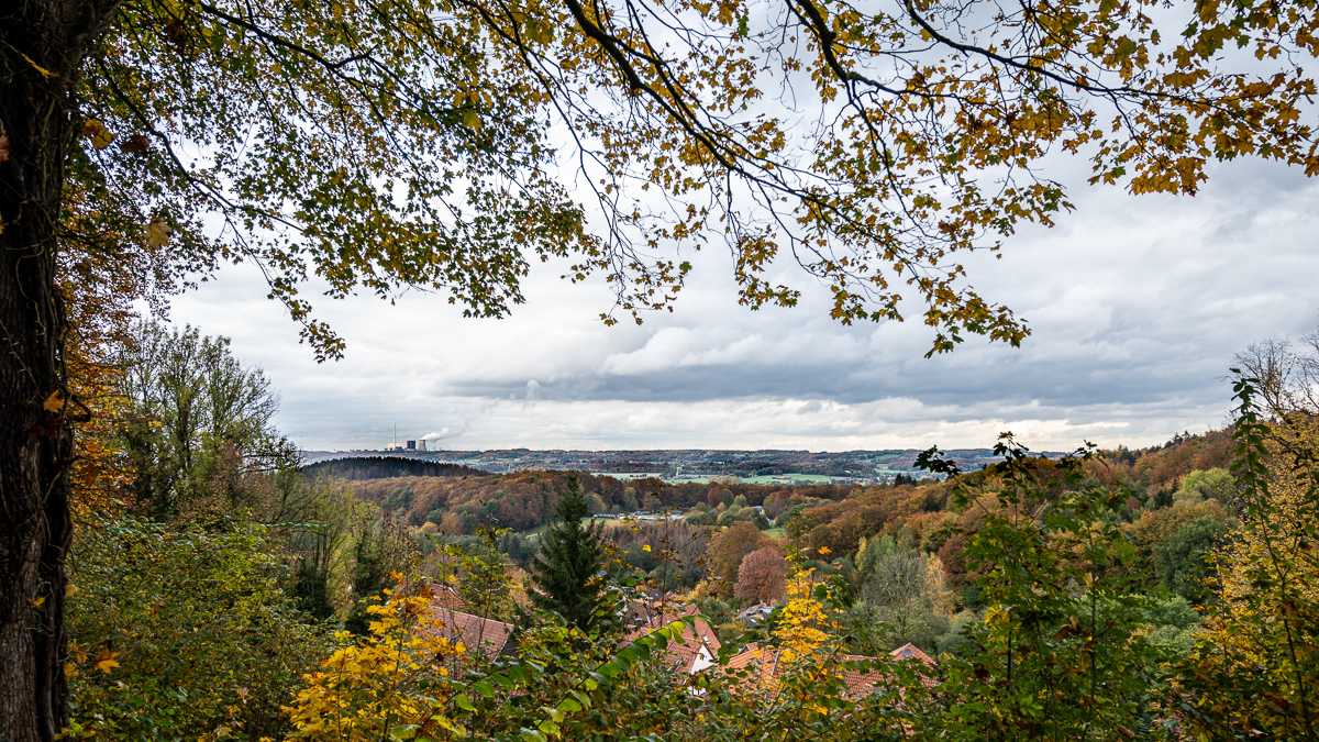 Herbstlicher Blick ins Münsterland