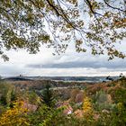 Herbstlicher Blick ins Münsterland