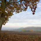 Herbstlicher Blick nach Homberg