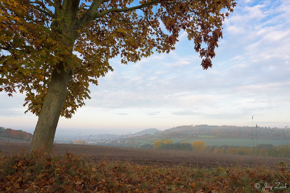 Herbstlicher Blick nach Homberg