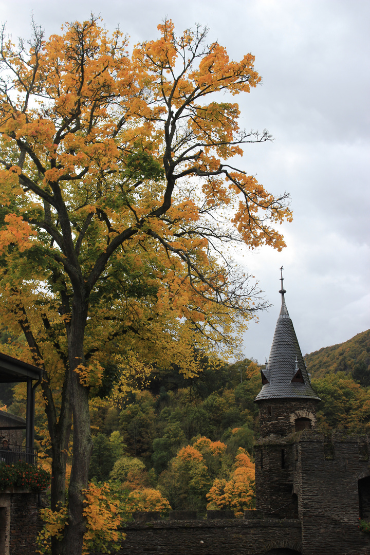 Herbstlicher Blick, Reichsburg Cochem