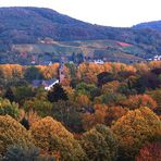 Herbstlicher Blick über Bonn