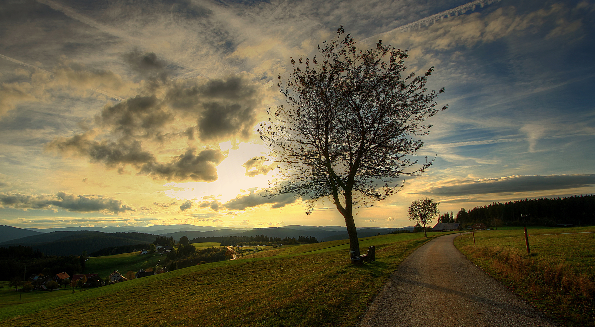 Herbstlicher Blick über den Schwarzwald vom Höhenweg