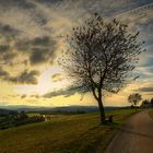 Herbstlicher Blick über den Schwarzwald vom Höhenweg