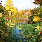 Herbstlicher Blick über die Erft bei Grevenbroich