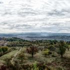 Herbstlicher Blick über Tübingen