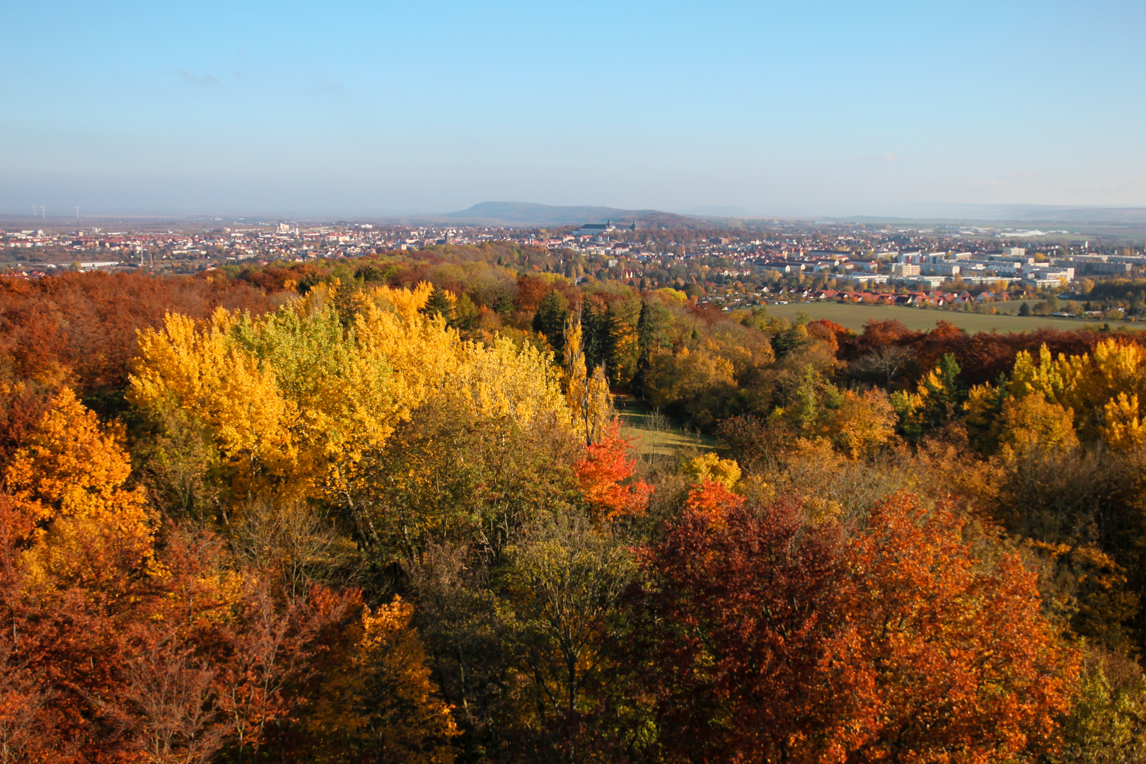 Herbstlicher Blick vom Bürgerturm auf Gotha