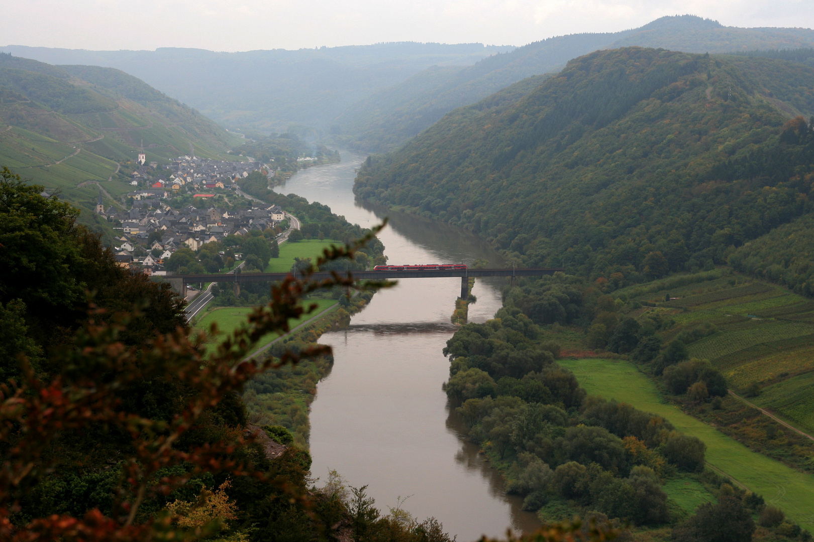 Herbstlicher Blick vom Calmont-Steig auf die Mosel