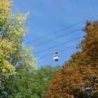 Herbstlicher Blick von unten und oben ...