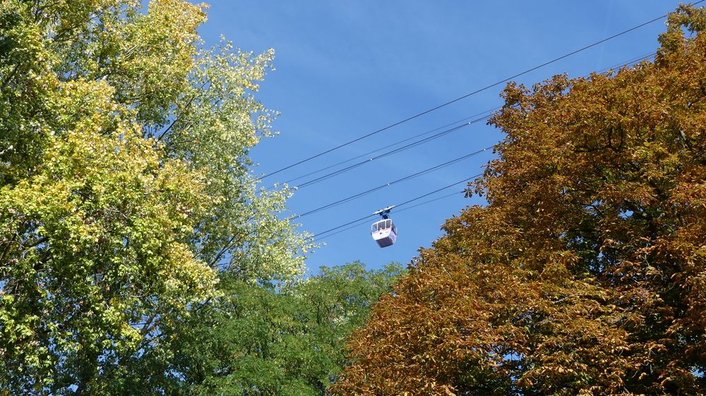 Herbstlicher Blick von unten und oben ...