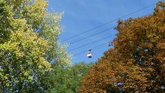 Herbstlicher Blick von unten und oben ...