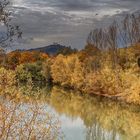 Herbstlicher Blick zur Wurmlinger Kapelle.