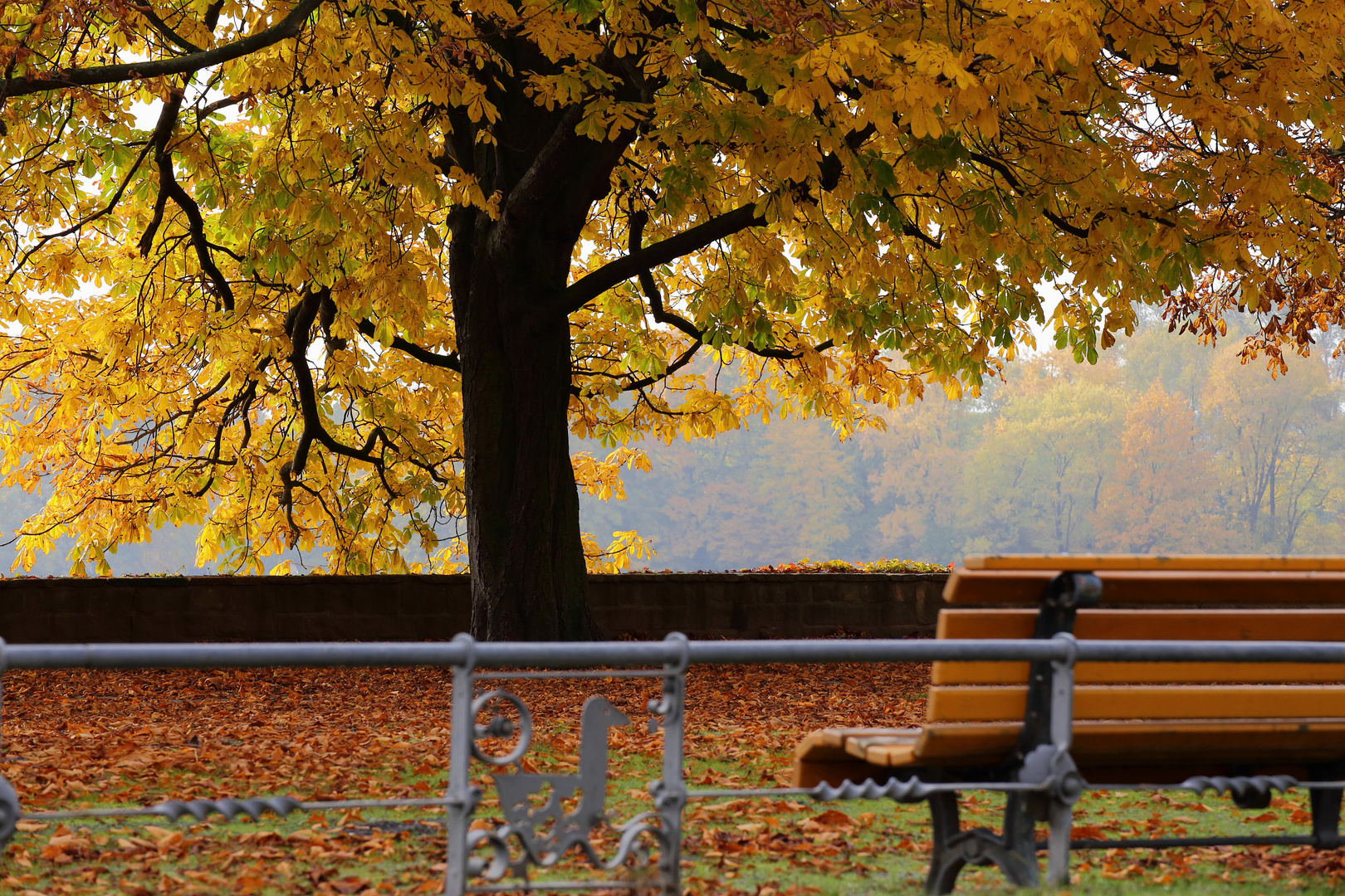 Herbstlicher Blickfang